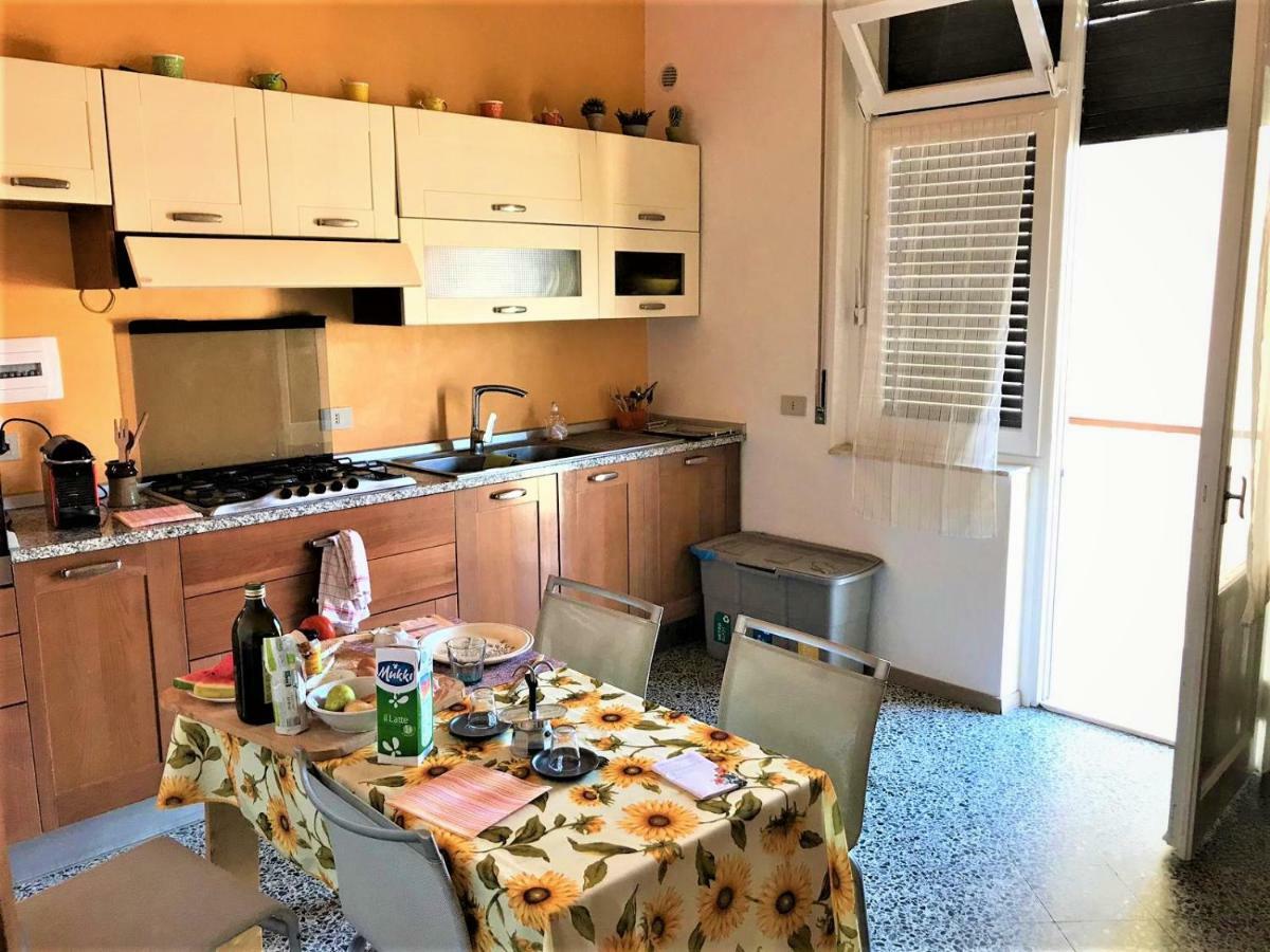 The - Guest house